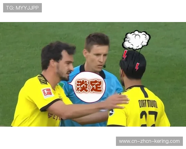 德甲裁判组集体学习新规，手球判罚标准再度细化